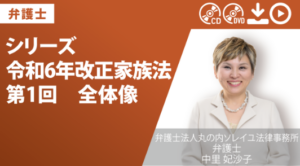 シリーズ　令和6年改正家族法　第1回　全体像｜代表弁護士 中里妃沙子